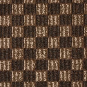 cs5101-brown